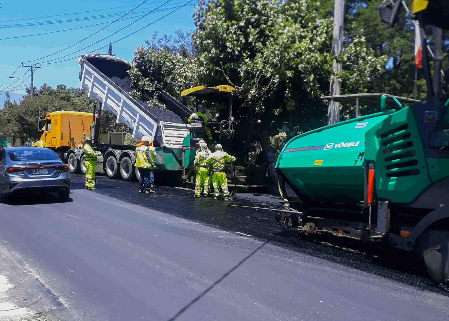 06Av.Eastman - copia - copia