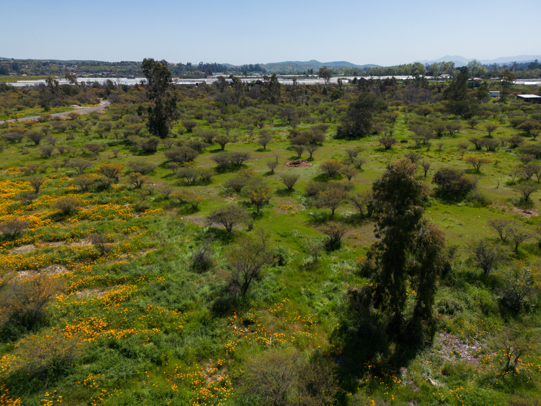 DJI_0758