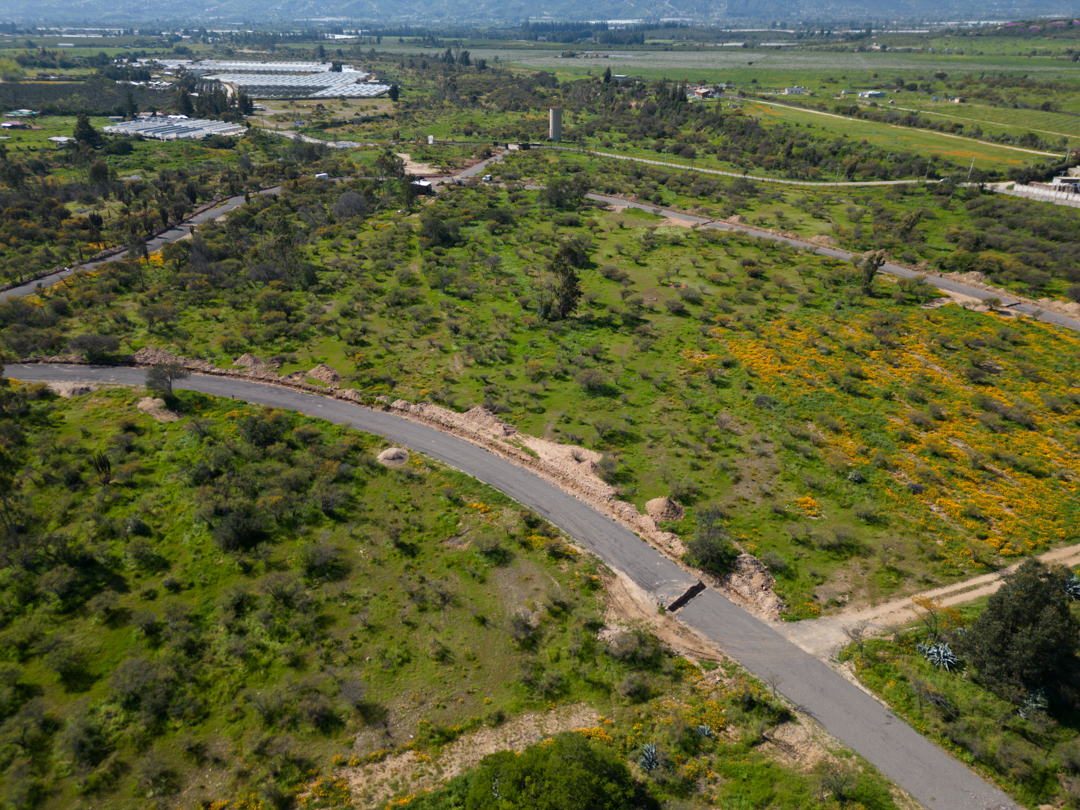 DJI_0811